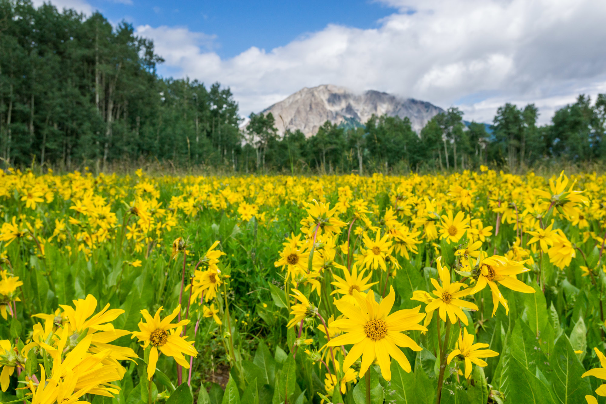 C2 Photography. Aspen, Colorado. Editorial Travel Photography II 19.